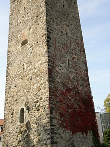 Schellenberger Turm (Katzenlieseles-Turm)