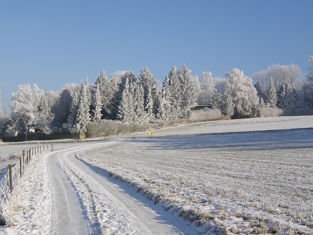 Landschaft oberhalb Weingarten